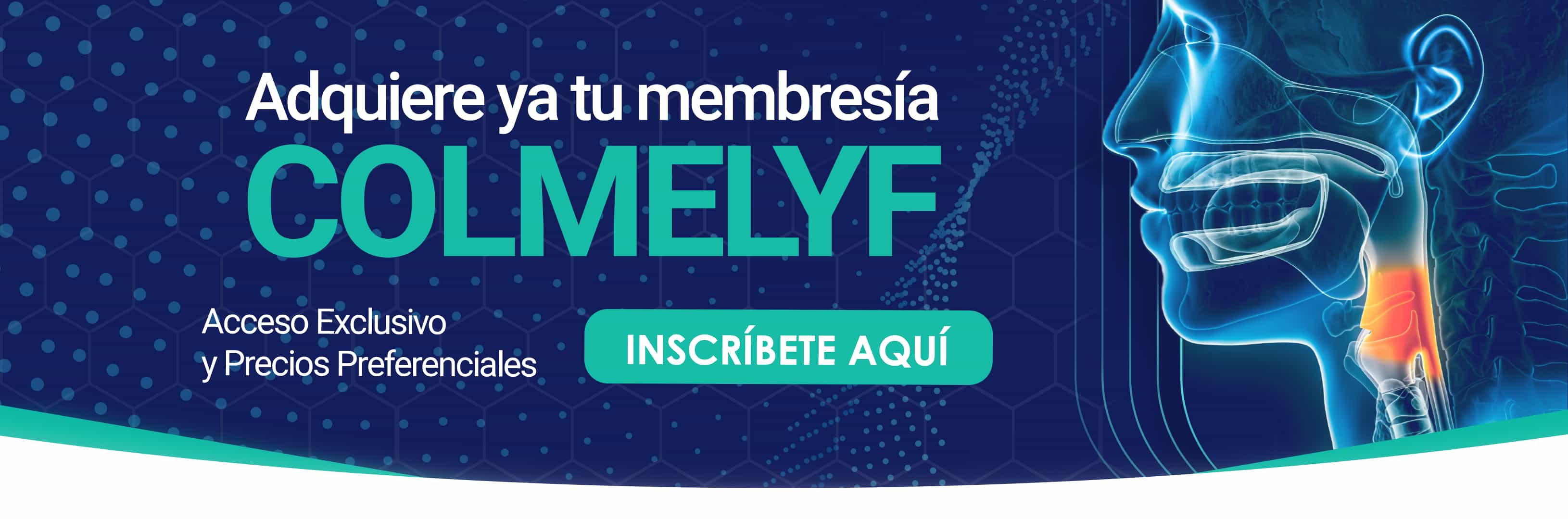 Webinar Hablando de Neurolaringología