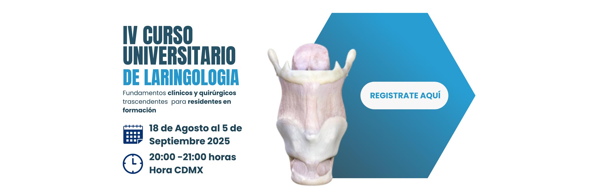 IV Curso Universitario de Laringología